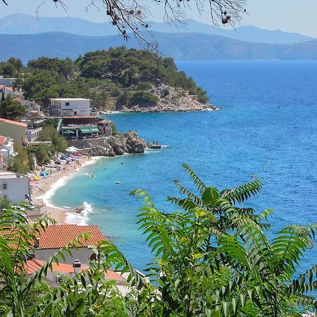 Vila Mila Mare Drasnice Bagian luar foto